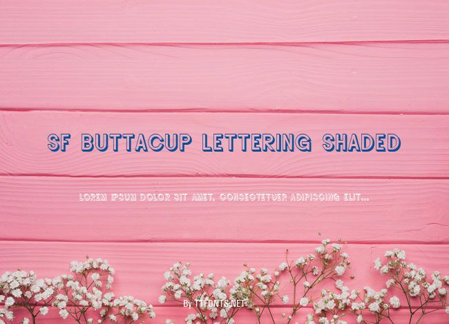 SF Buttacup Lettering Shaded example